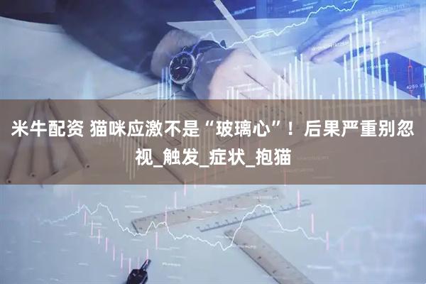 米牛配资 猫咪应激不是“玻璃心”！后果严重别忽视_触发_症状_抱猫