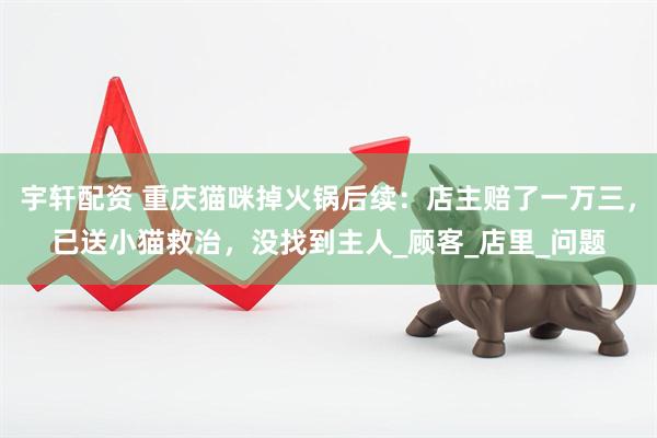宇轩配资 重庆猫咪掉火锅后续：店主赔了一万三，已送小猫救治，没找到主人_顾客_店里_问题