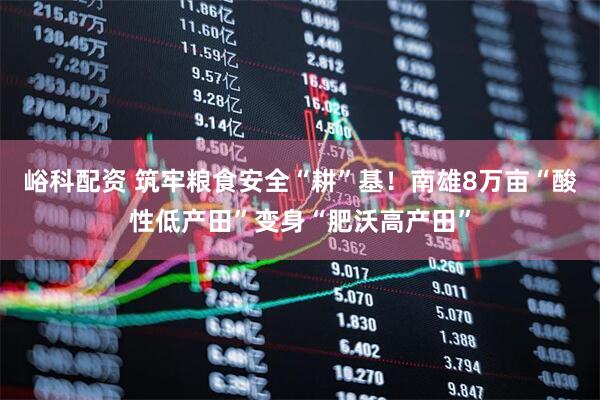 峪科配资 筑牢粮食安全“耕”基！南雄8万亩“酸性低产田”变身“肥沃高产田”
