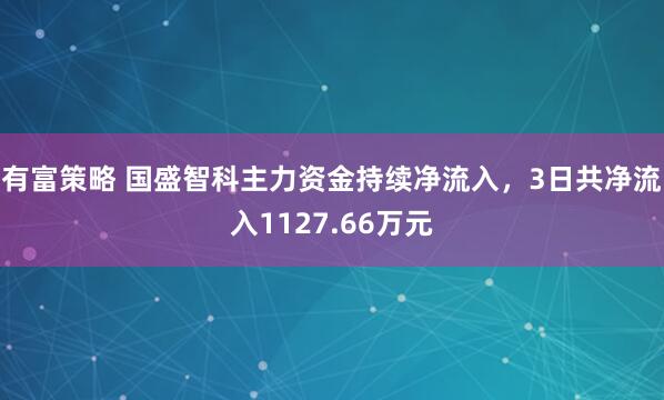 有富策略 国盛智科主力资金持续净流入，3日共净流入1127.66万元