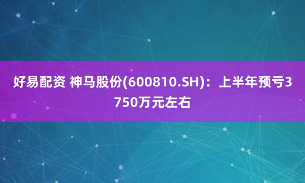 好易配资 神马股份(600810.SH)：上半年预亏3750万元左右