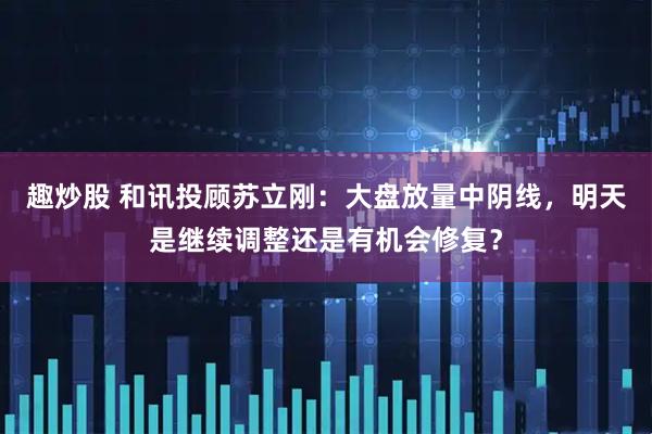 趣炒股 和讯投顾苏立刚：大盘放量中阴线，明天是继续调整还是有机会修复？