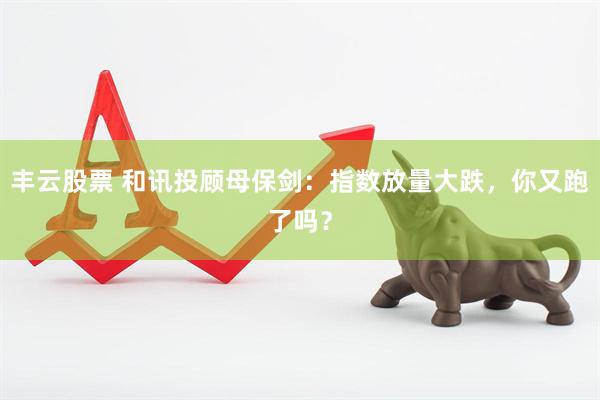 丰云股票 和讯投顾母保剑：指数放量大跌，你又跑了吗？