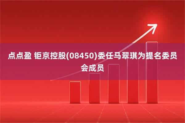 点点盈 钜京控股(08450)委任马翠琪为提名委员会成员