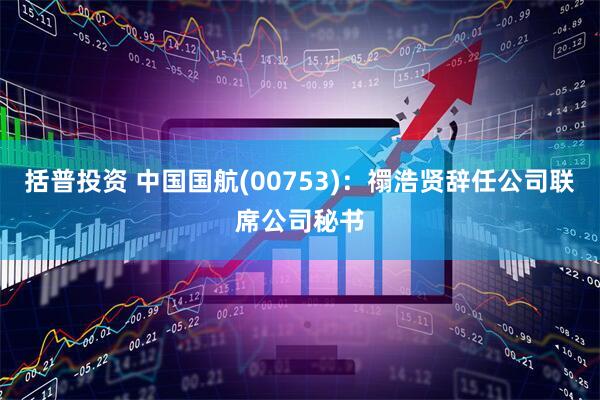 括普投资 中国国航(00753)：禤浩贤辞任公司联席公司秘书