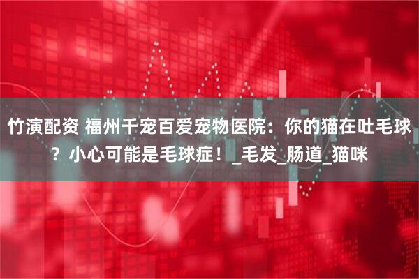 竹演配资 福州千宠百爱宠物医院：你的猫在吐毛球？小心可能是毛球症！_毛发_肠道_猫咪