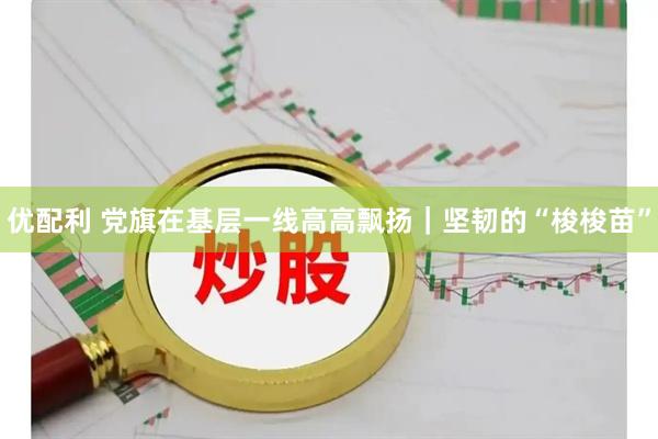 优配利 党旗在基层一线高高飘扬｜坚韧的“梭梭苗”