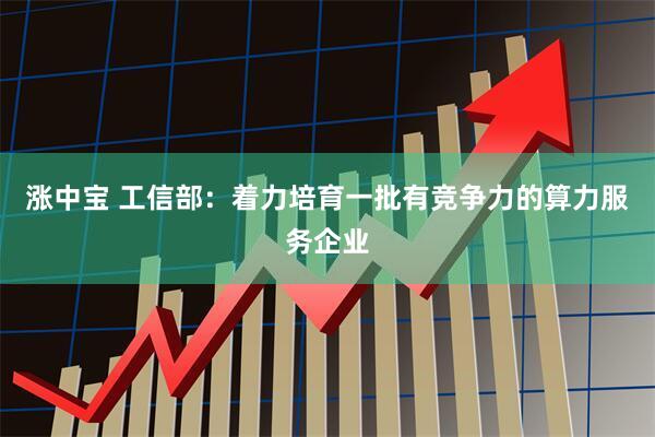 涨中宝 工信部：着力培育一批有竞争力的算力服务企业