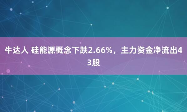 牛达人 硅能源概念下跌2.66%，主力资金净流出43股