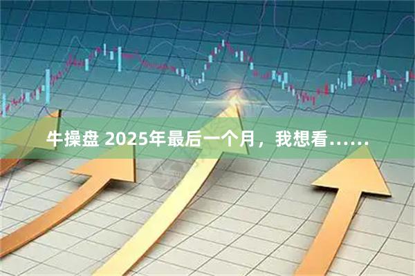 牛操盘 2025年最后一个月，我想看……