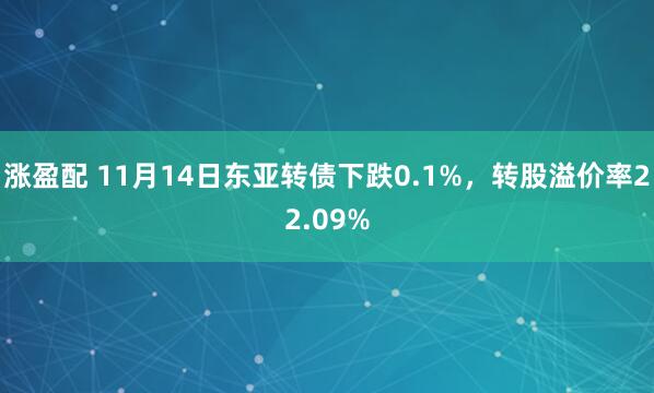 涨盈配 11月14日东亚转债下跌0.1%，转股溢价率22.09%